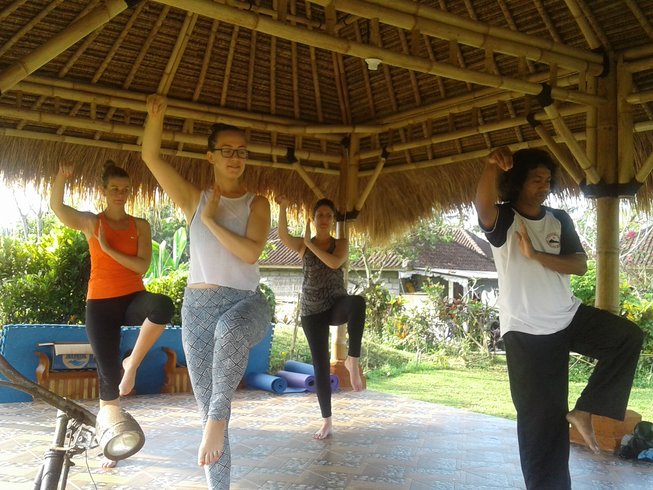 bali1.1